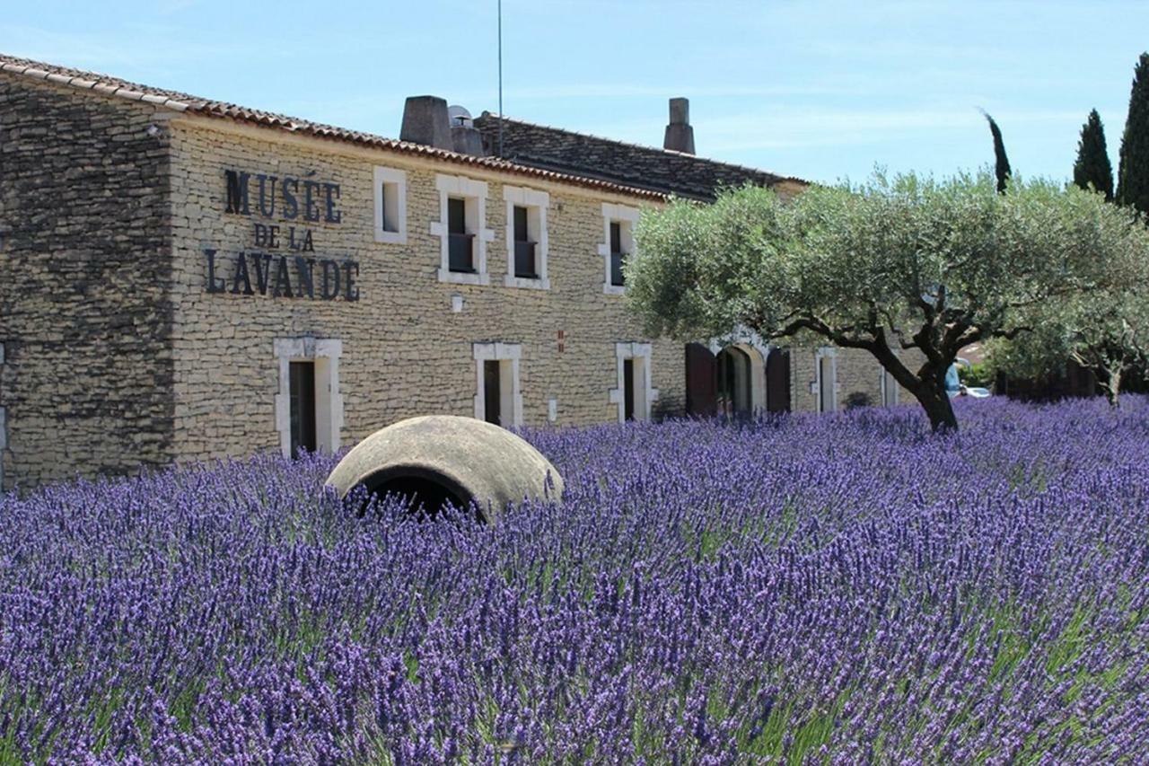 Gite Rural "Chez Paulette" - Provence - Luberon Кавайон Экстерьер фото